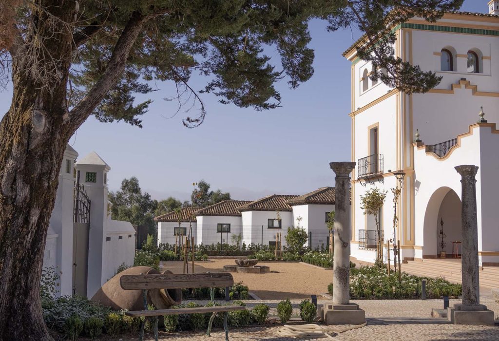 CASA1
